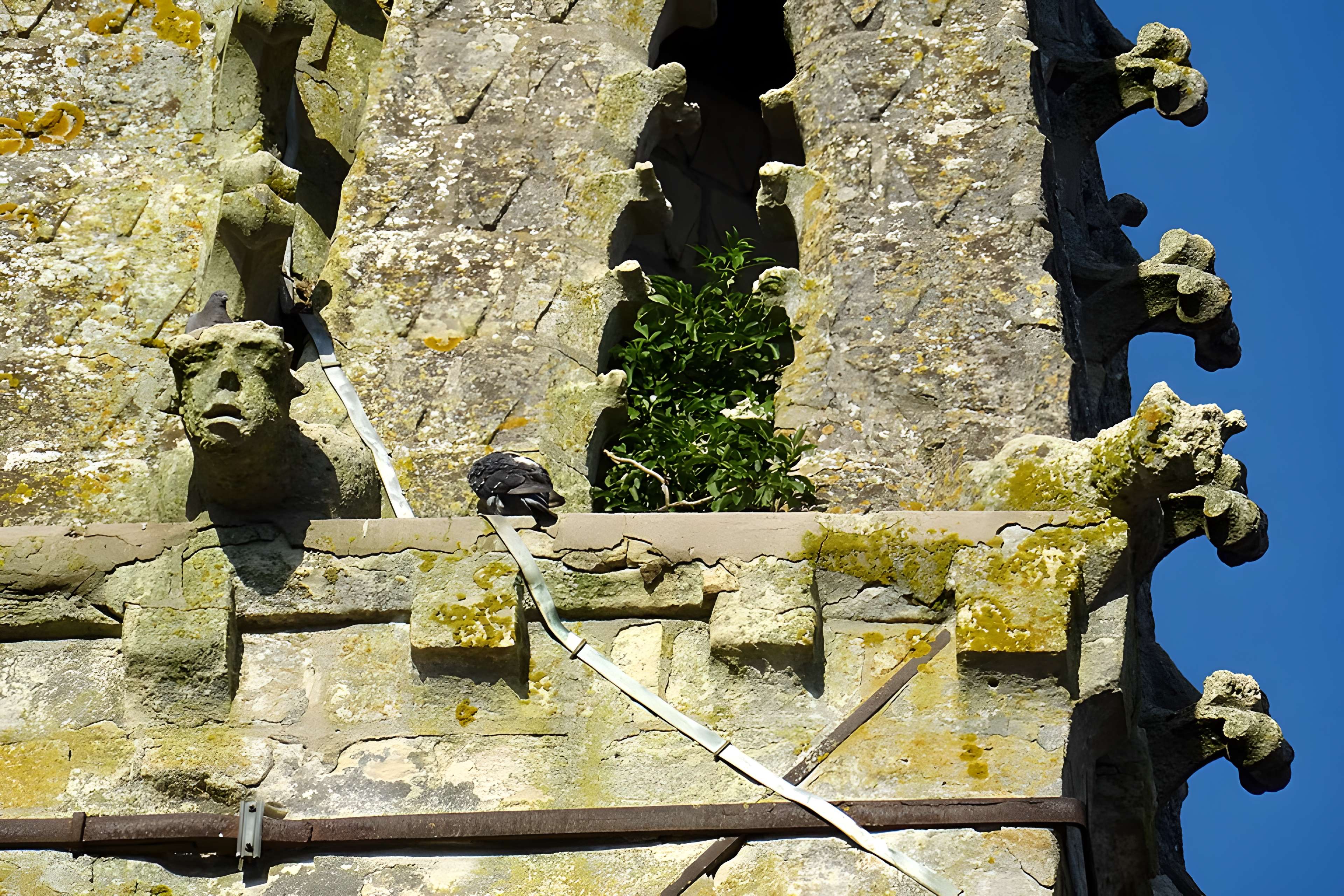 Église Saint-Martin de Plailly