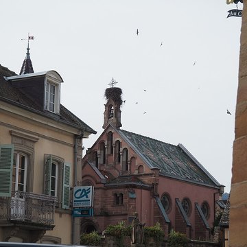 Château de Saint-Léon-Pfalz