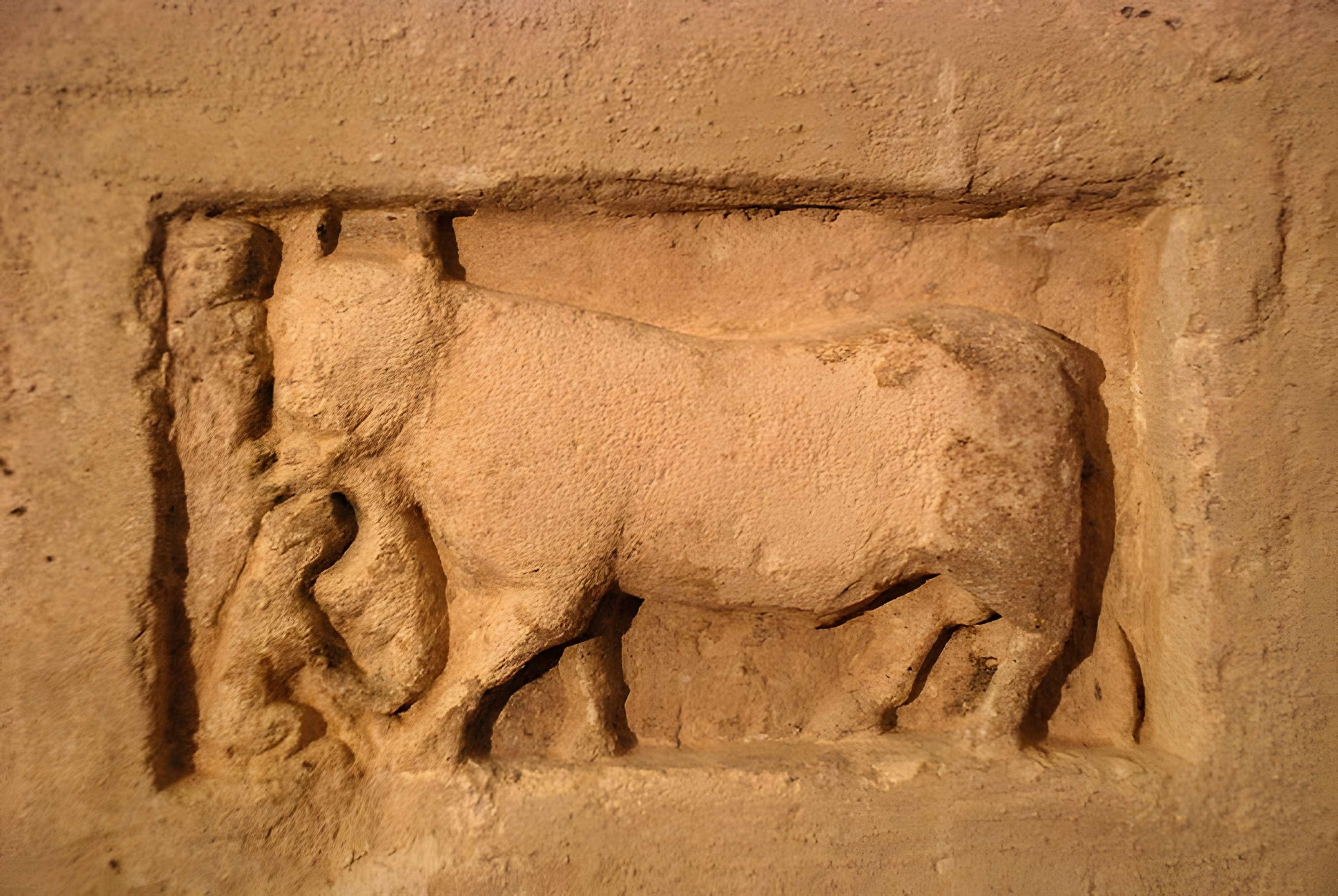 Église Saint-Martin de Saint-Martin-les-Eaux