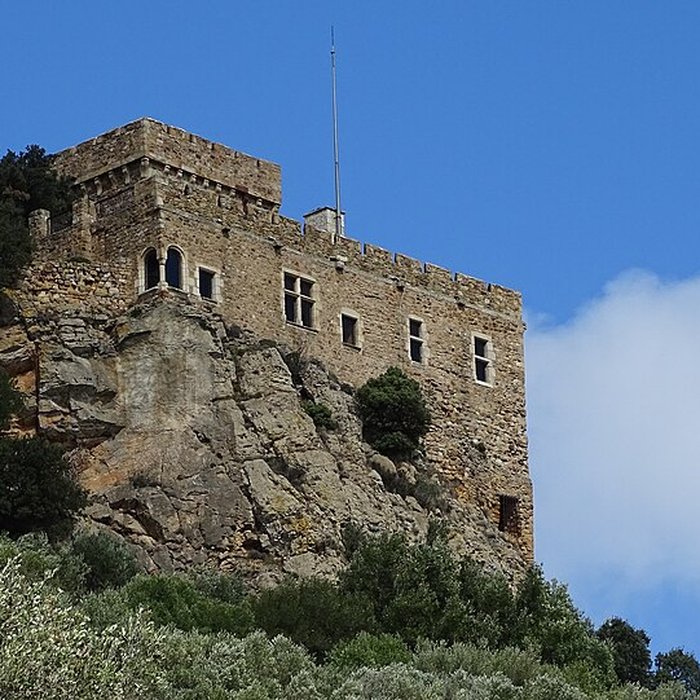 Photo de Château de Saint-Martin de Toques