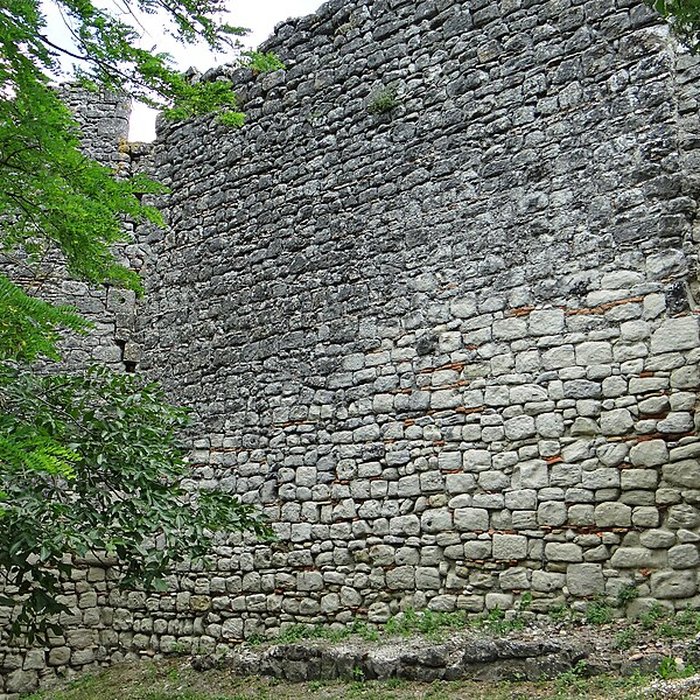 Photo de Château de Saint-Pastour