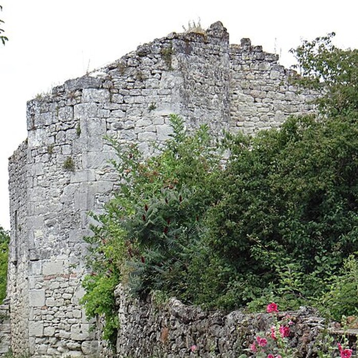 Photo de Château de Saint-Pastour