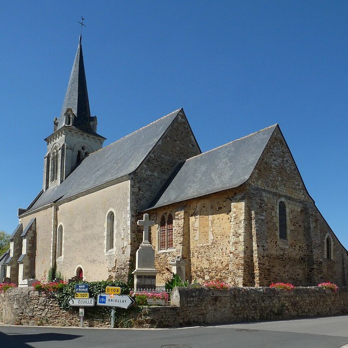 Photo de Église Saint-Martin-de-Vertou de Bourg