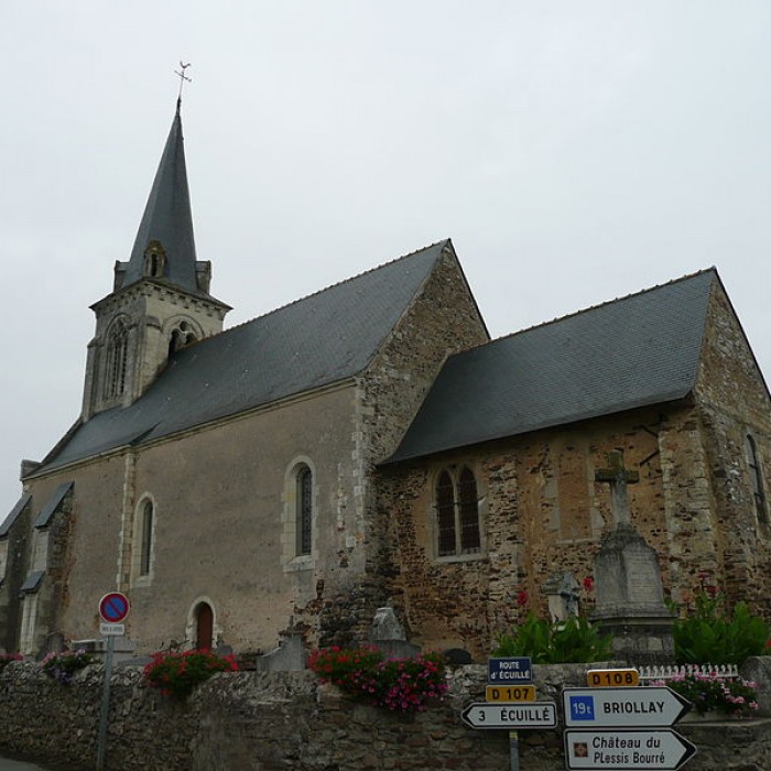 Photo de Église Saint-Martin-de-Vertou de Bourg