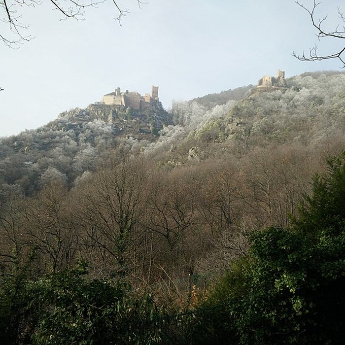 Photo de Château de Saint-Ulrich