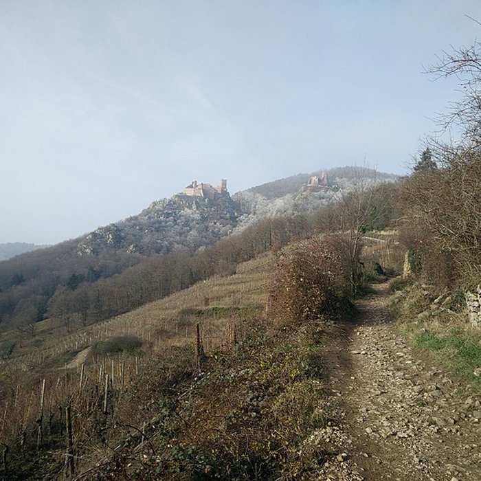 Photo de Château de Saint-Ulrich