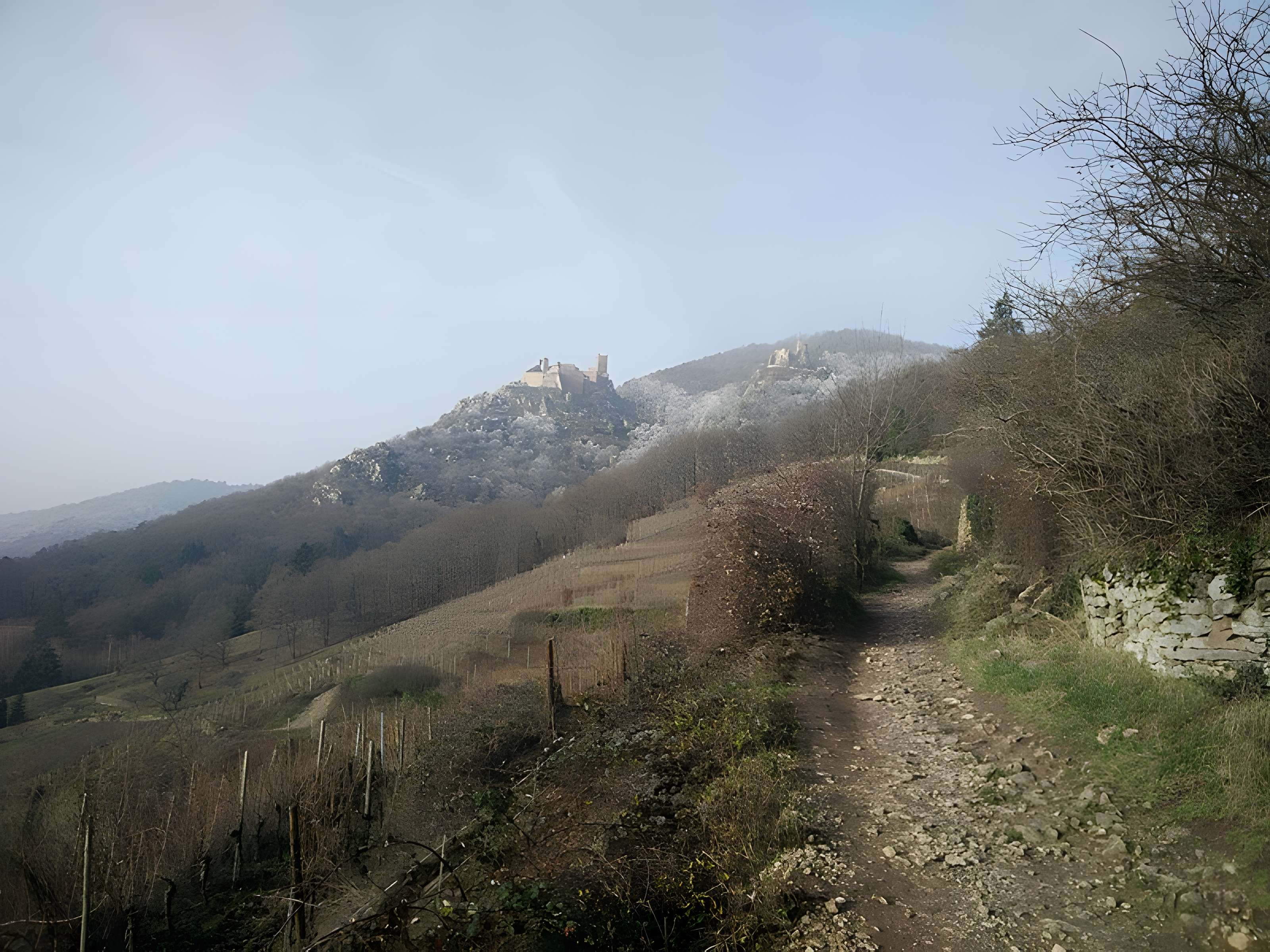 Château de Saint-Ulrich