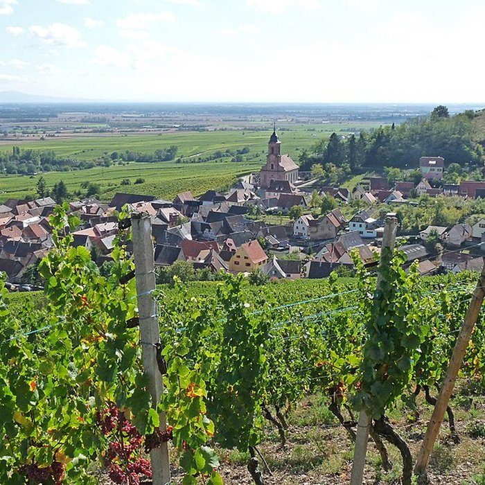 Photo de Église Saint-Maurice dOrschwiller