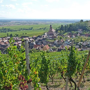 Église Saint-Maurice dOrschwiller