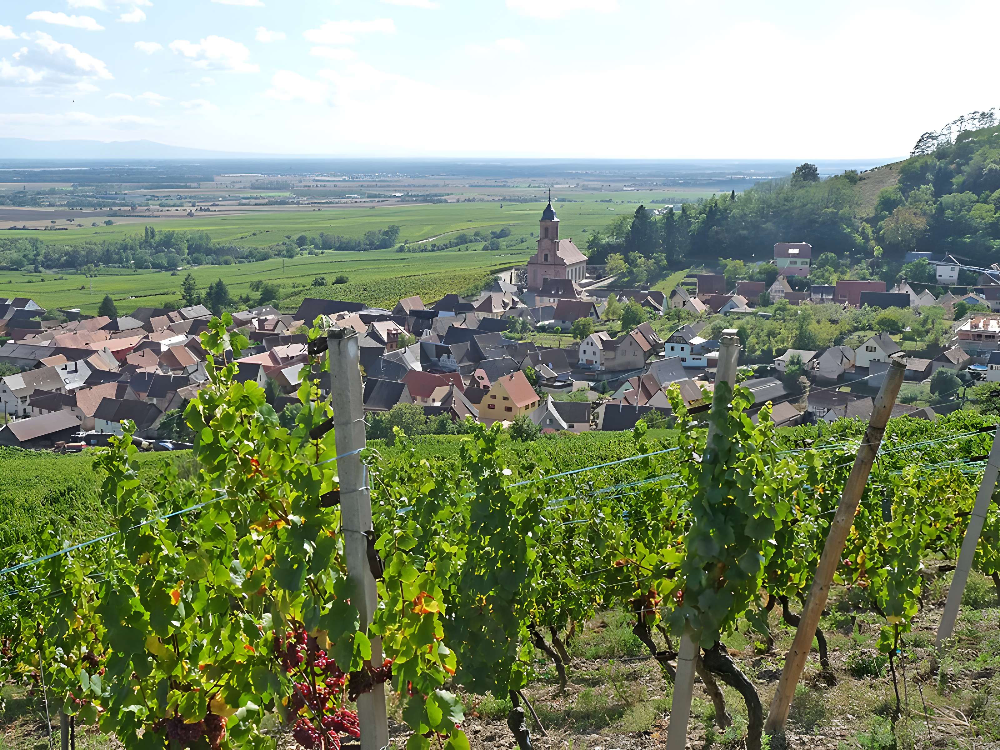 Église Saint-Maurice d'Orschwiller