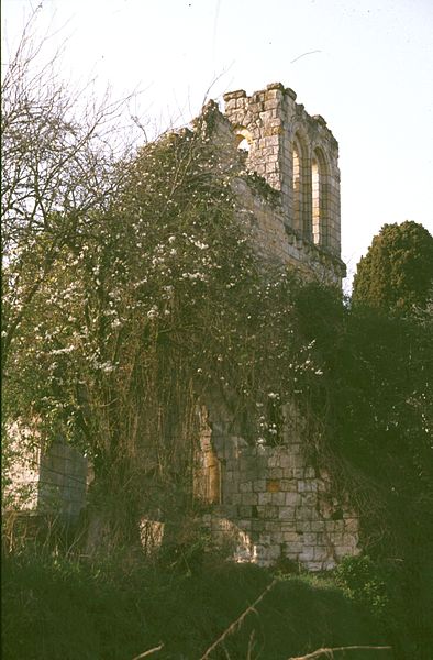 Église Saint-Maxenceul de Chênehutte-Trèves-Cunault