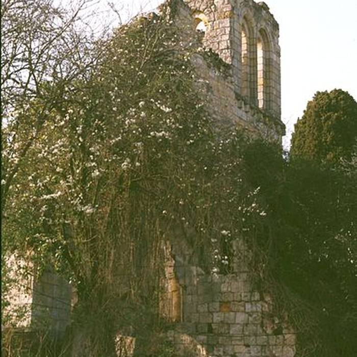 Photo de Église Saint-Maxenceul de Chênehutte-Trèves-Cunault