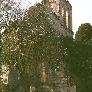 Église Saint-Maxenceul de Chênehutte-Trèves-Cunault