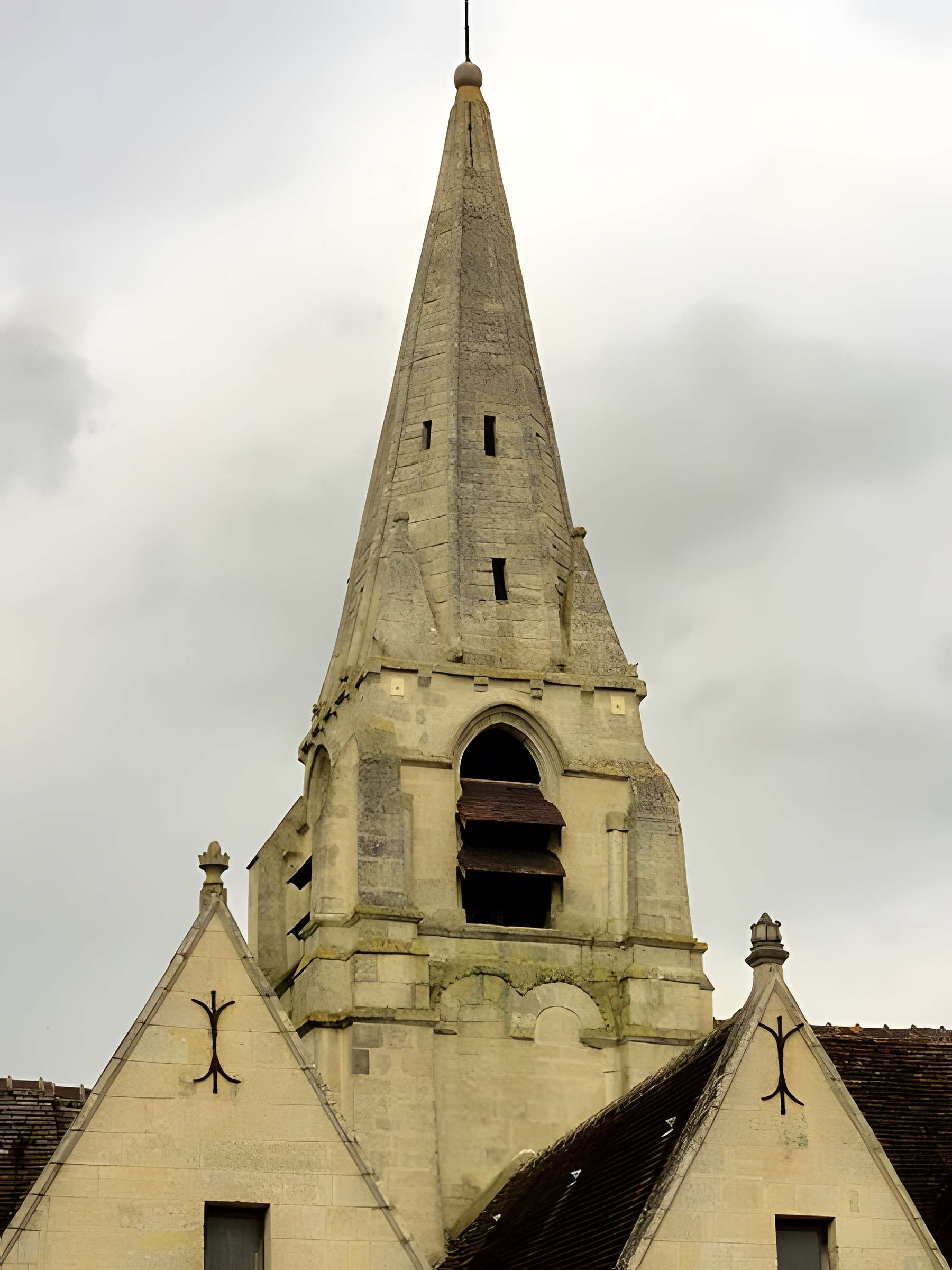 Église Saint-Maximin de Saint-Maximin 