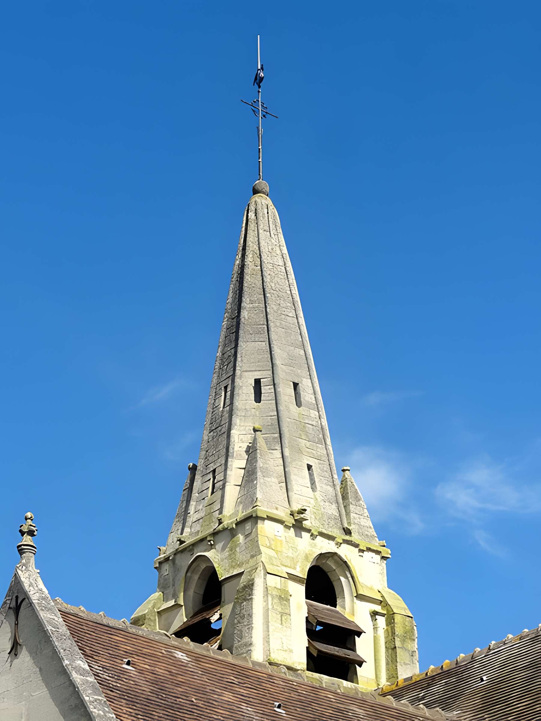 Église Saint-Maximin de Saint-Maximin 