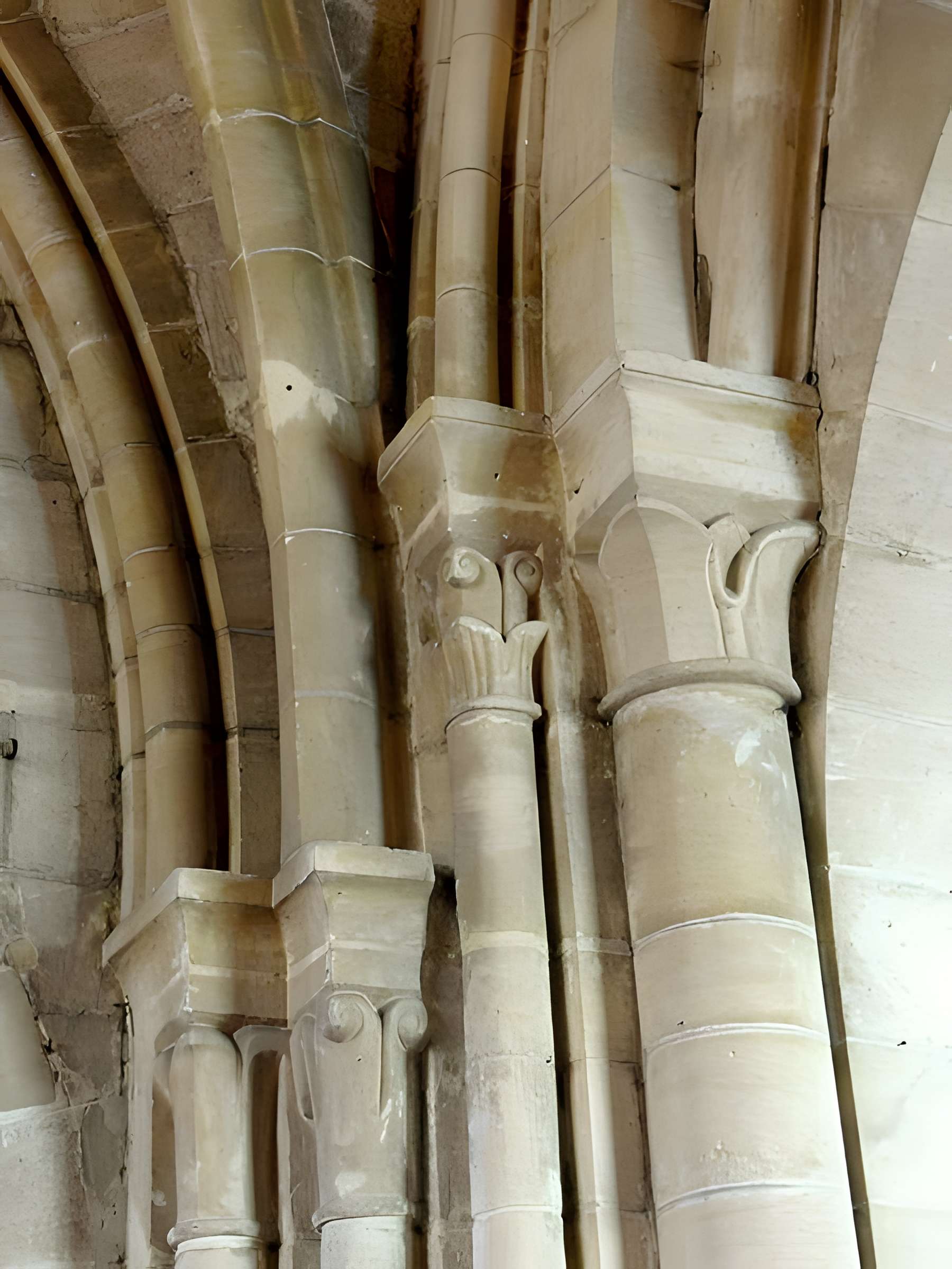 Église Saint-Maximin de Saint-Maximin 