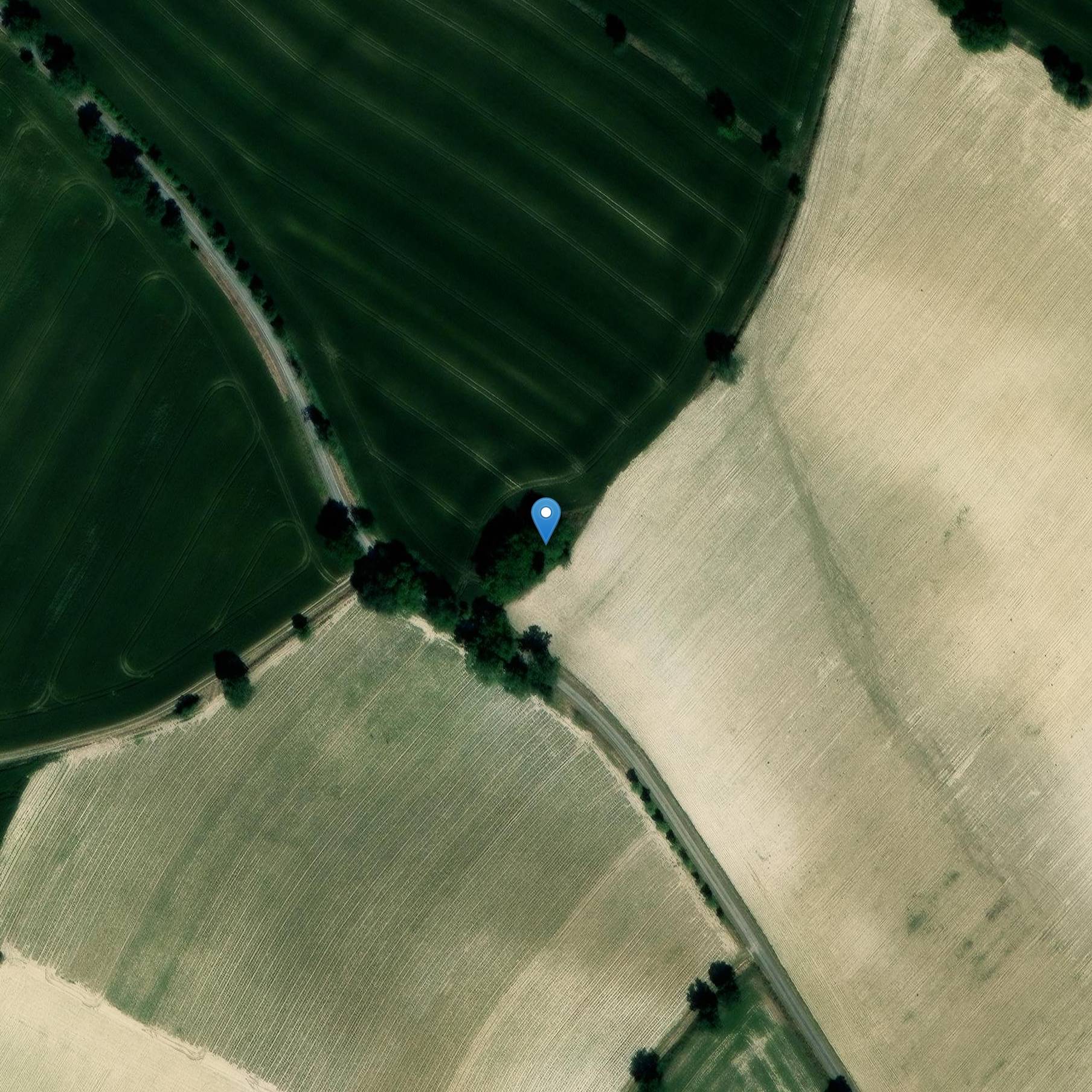 Photo de Chiesa di San Martino de Carnac