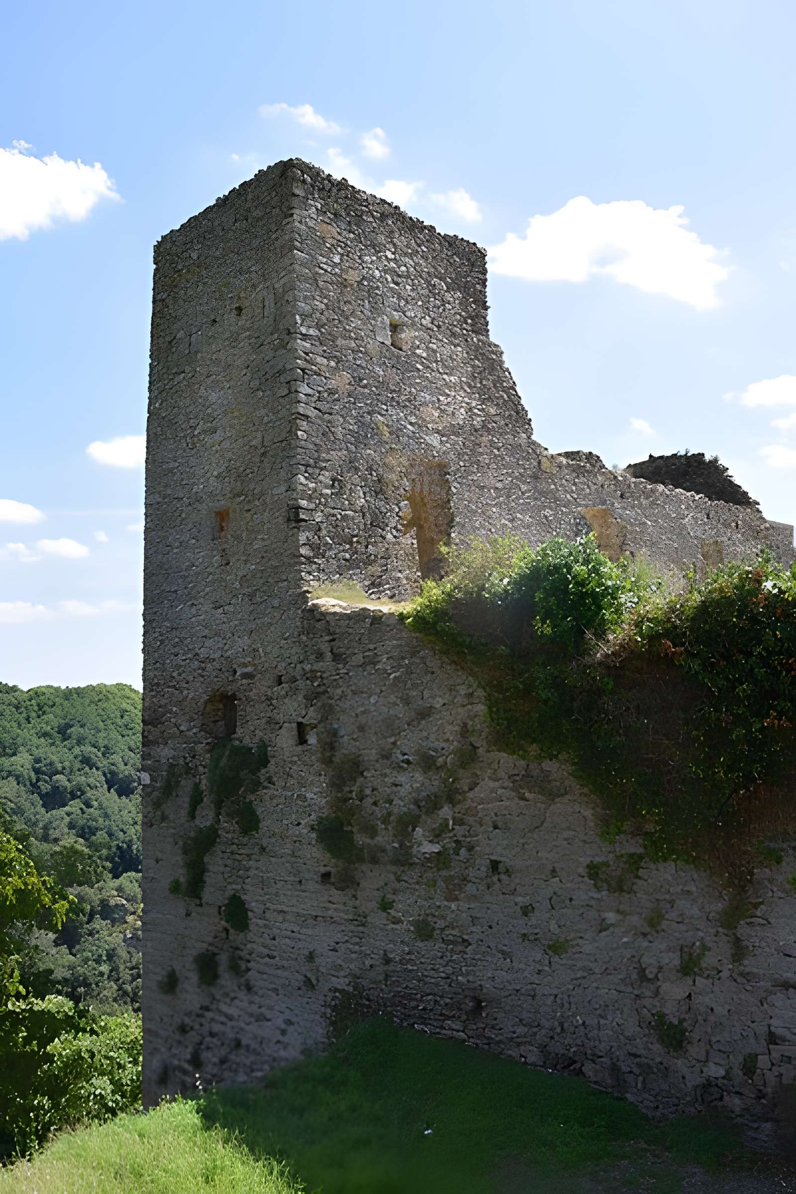 Château de Saissac
