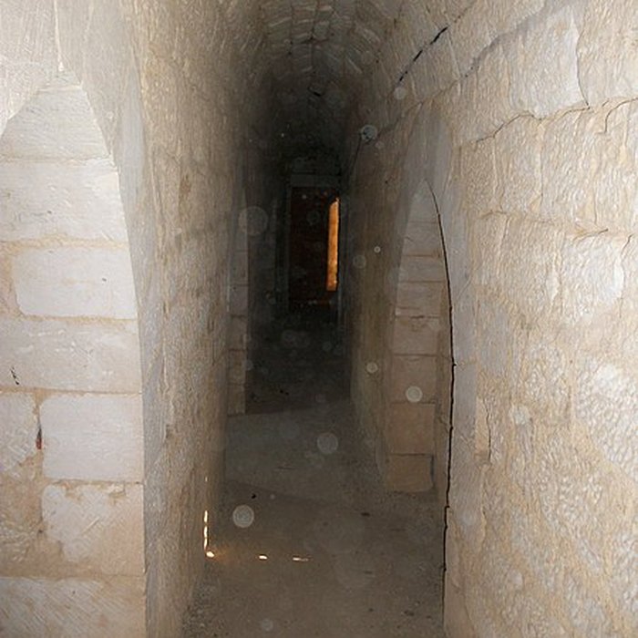 Photo de Château de salbart