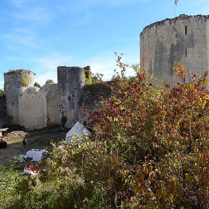 Photo de Château de salbart