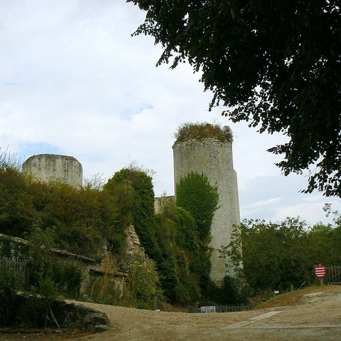 Photo de Château de salbart