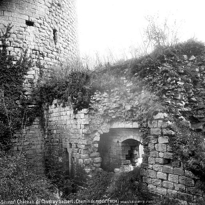 Photo de Château de salbart