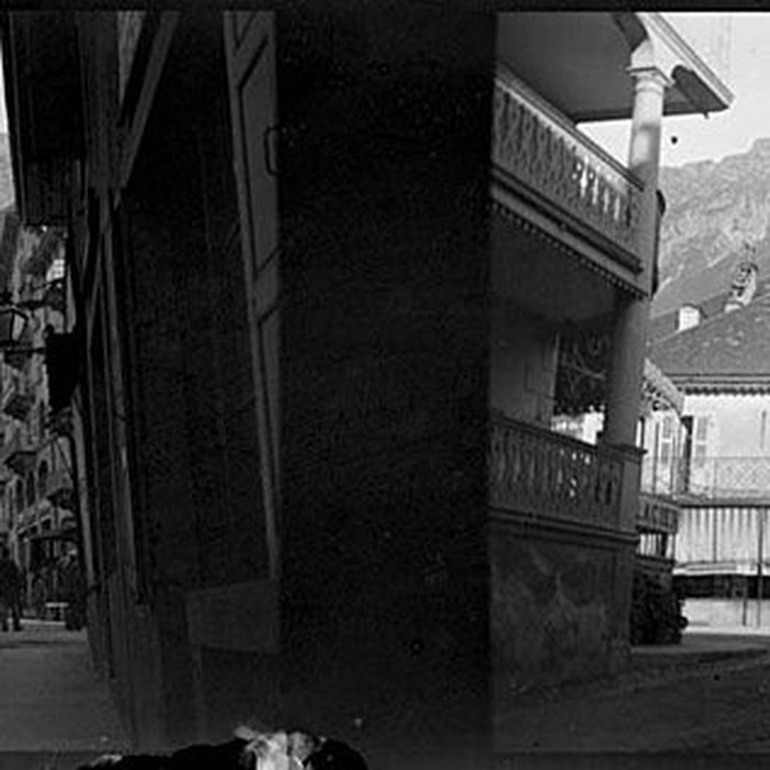 Photo de Église Saint-Michel de Chamonix-Mont-Blanc