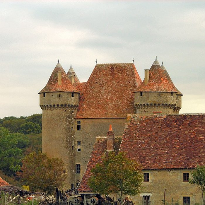 Photo de Château de Sarzay