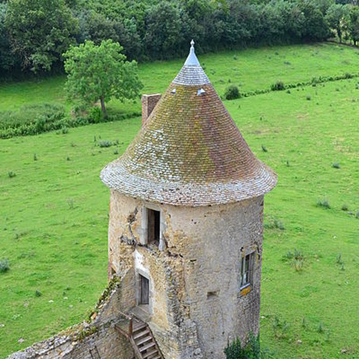 Photo de Château de Sarzay