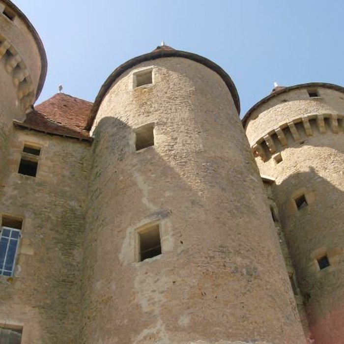 Photo de Château de Sarzay
