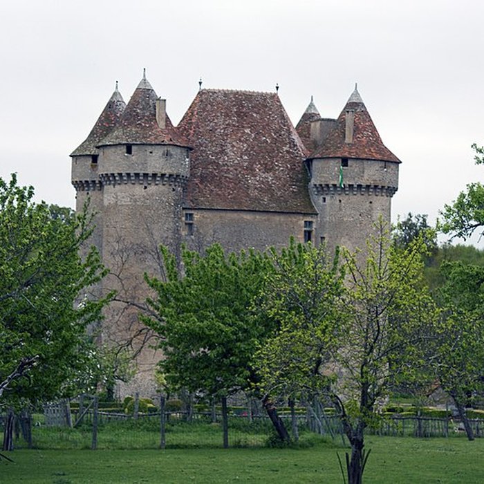 Photo de Château de Sarzay