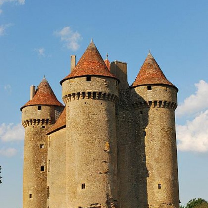 Photo de Château de Sarzay
