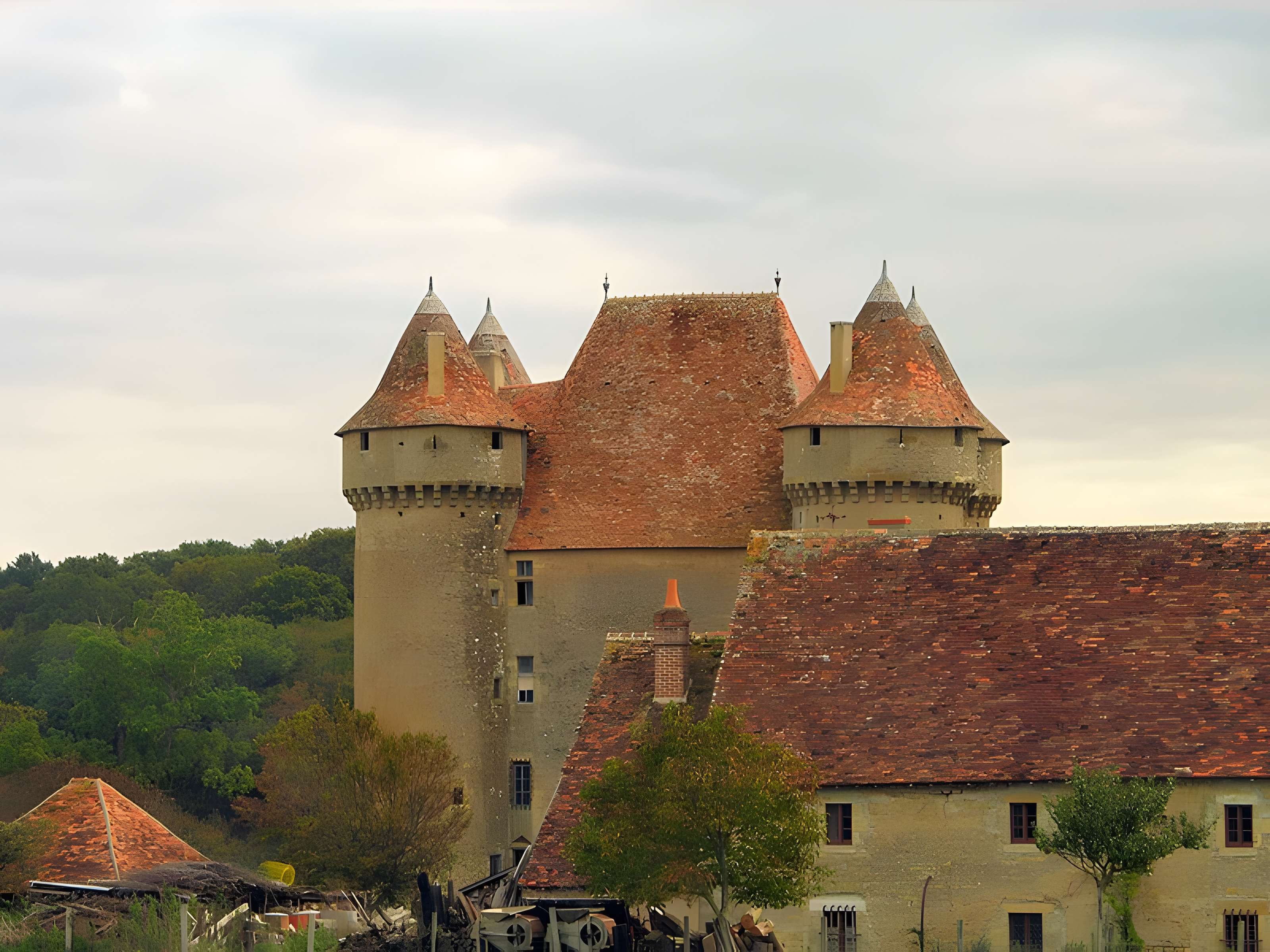 Château de Sarzay