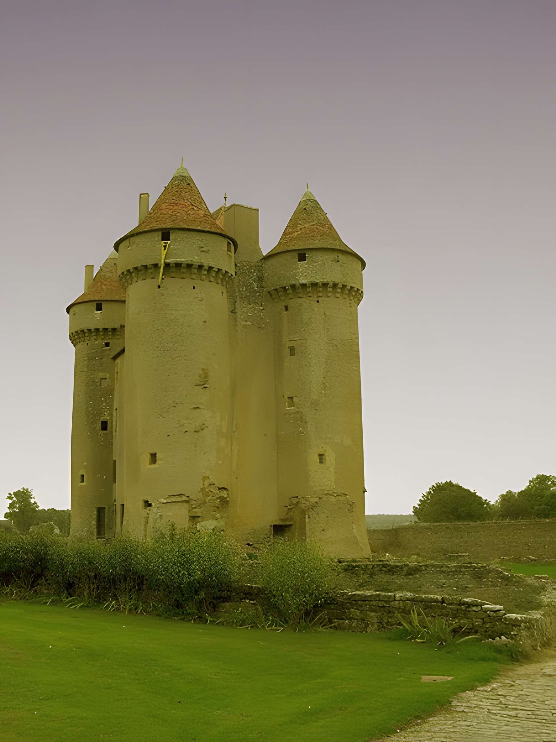 Château de Sarzay