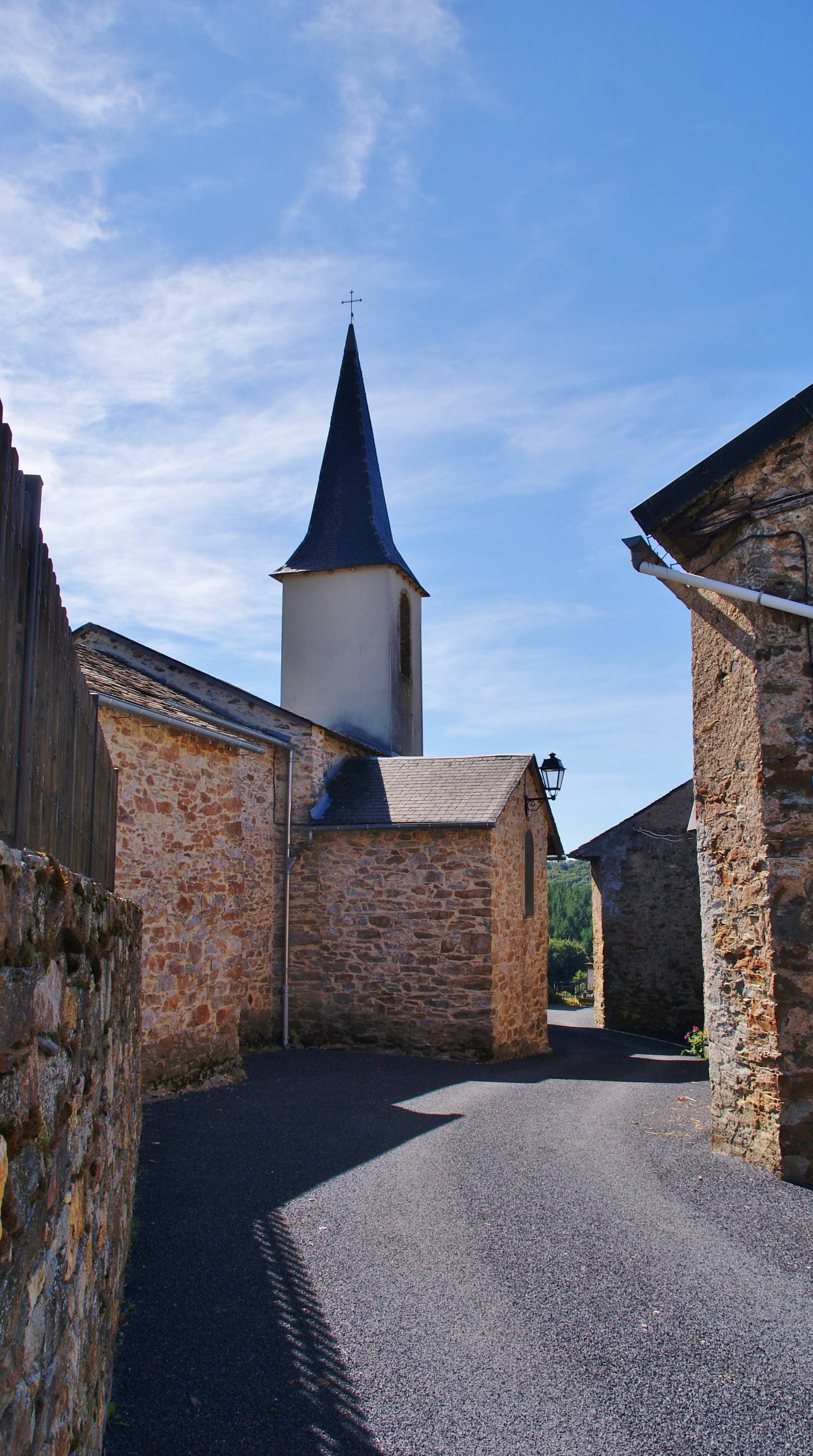 Photo de Église Saint-Salvy de Saint-Salvi-de-Carcavès