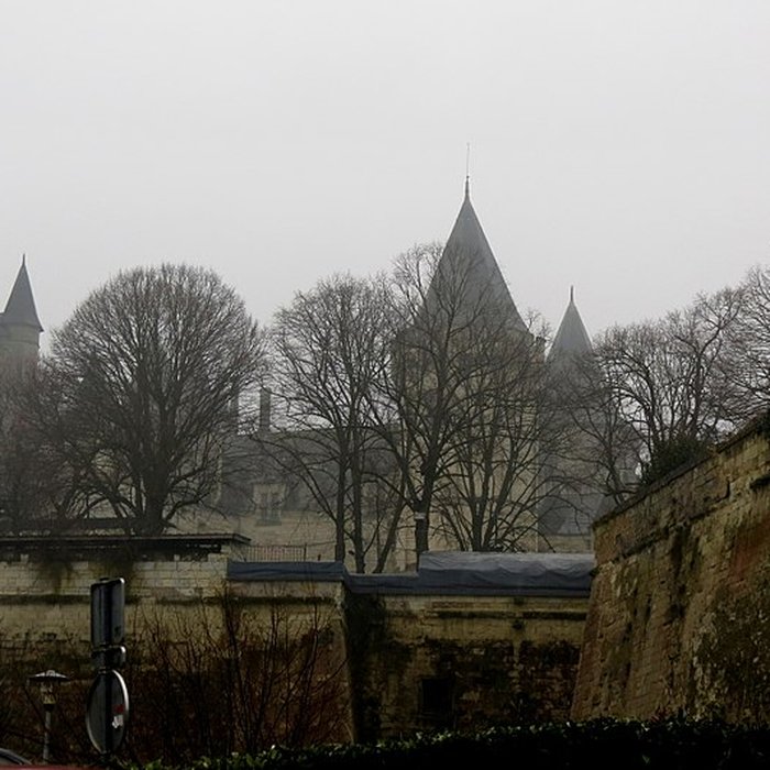 Photo de Château de Saumur