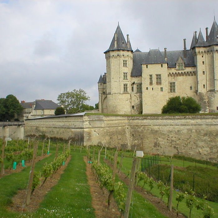 Photo de Château de Saumur