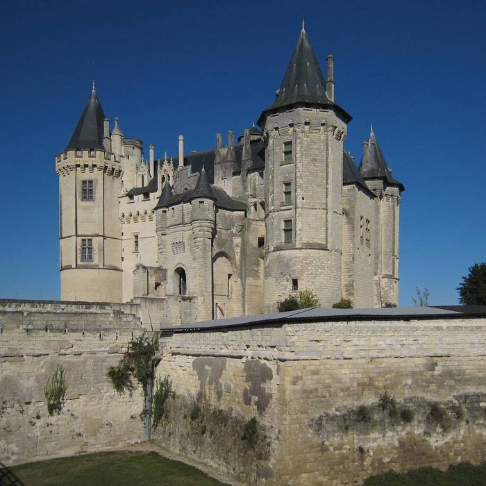 Photo de Schloss Saumur