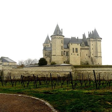 Château de Saumur