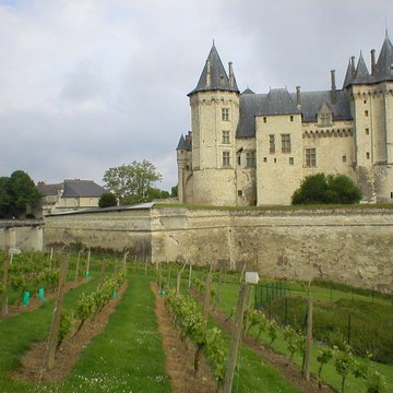 Château de Saumur