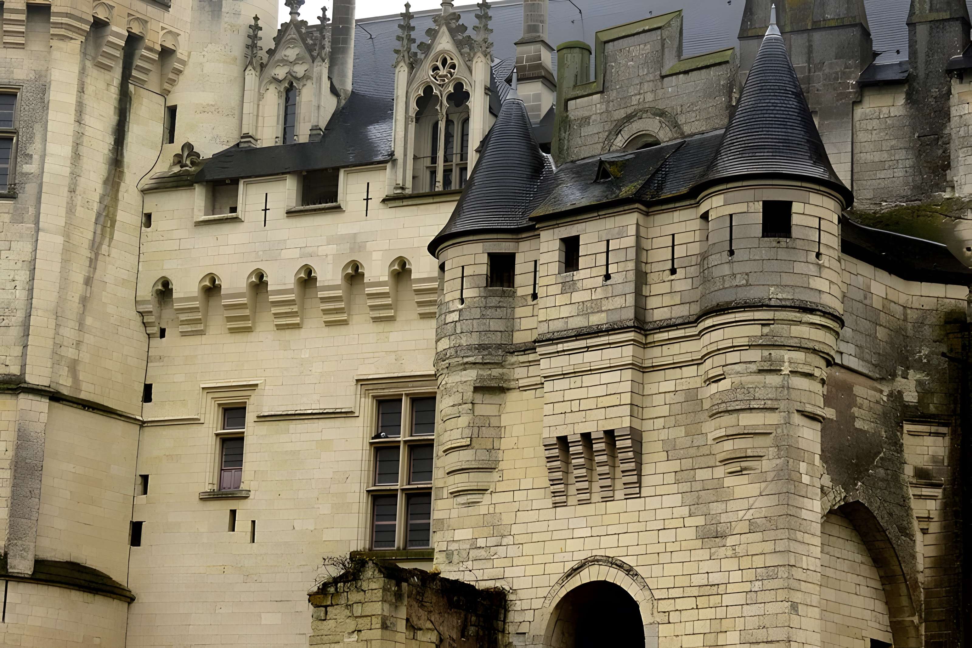 Château de Saumur