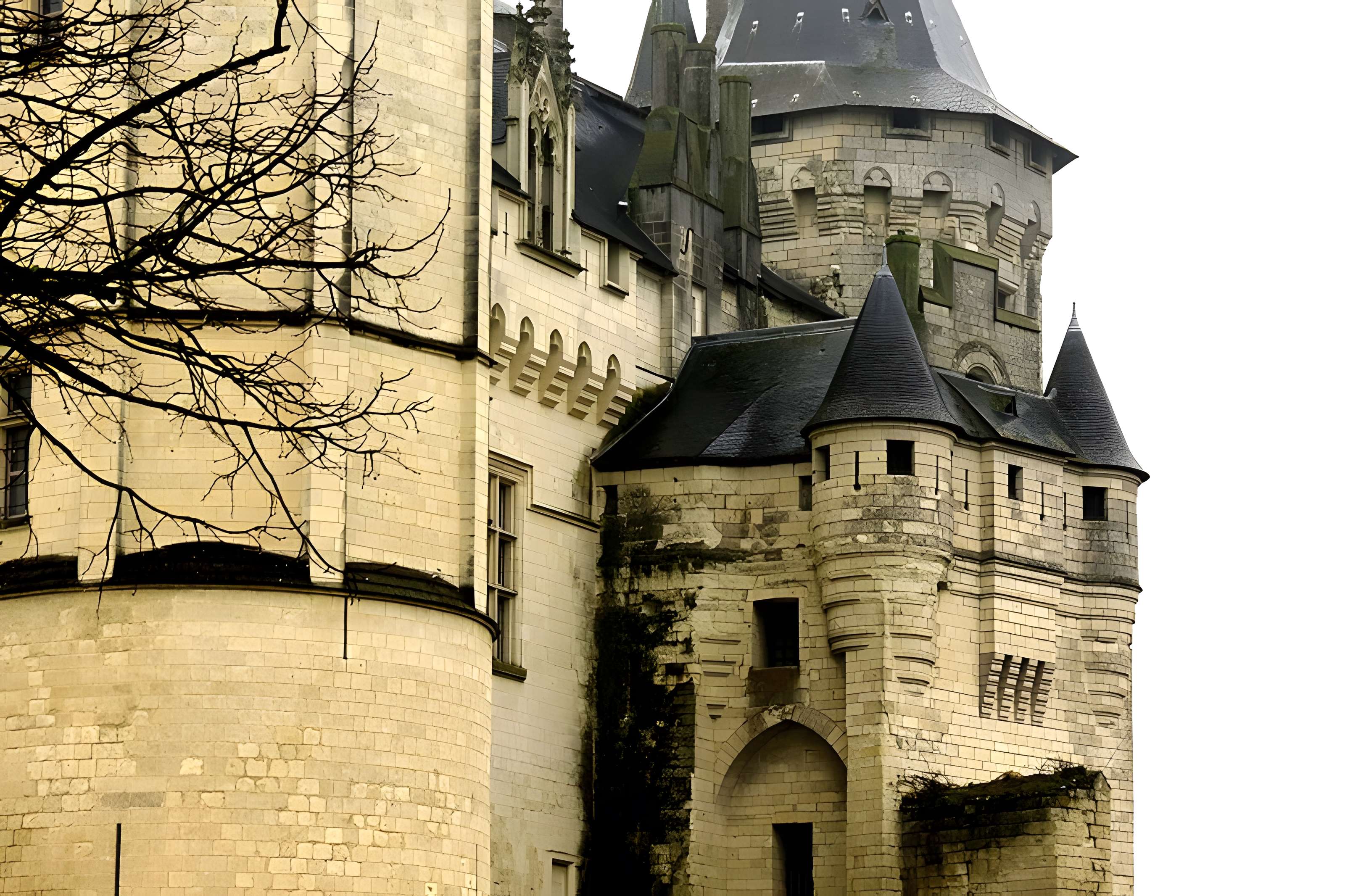 Château de Saumur