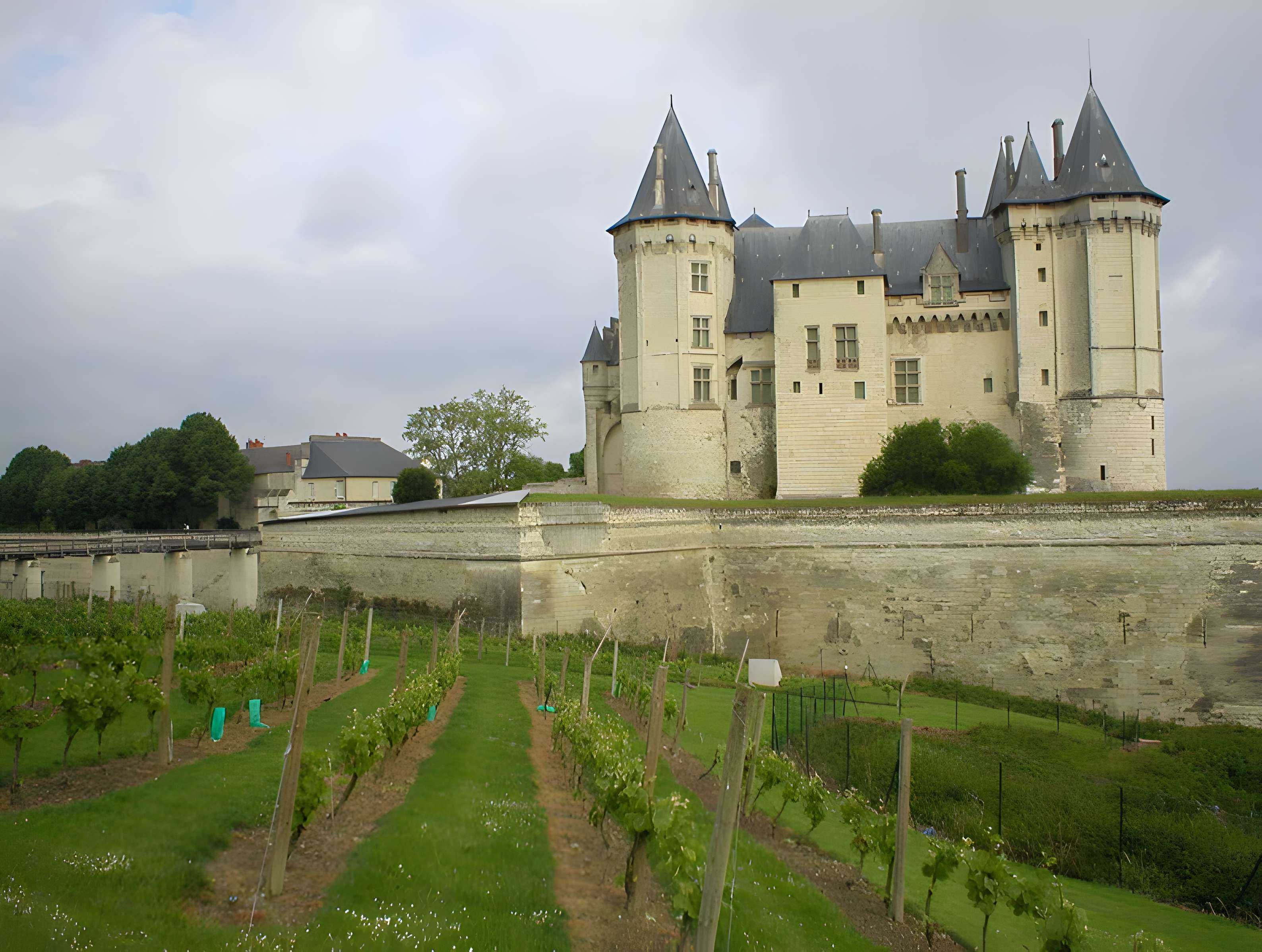 Château de Saumur