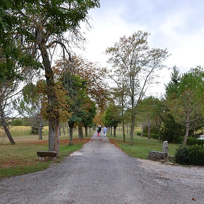 Photo de Château de Sauvan