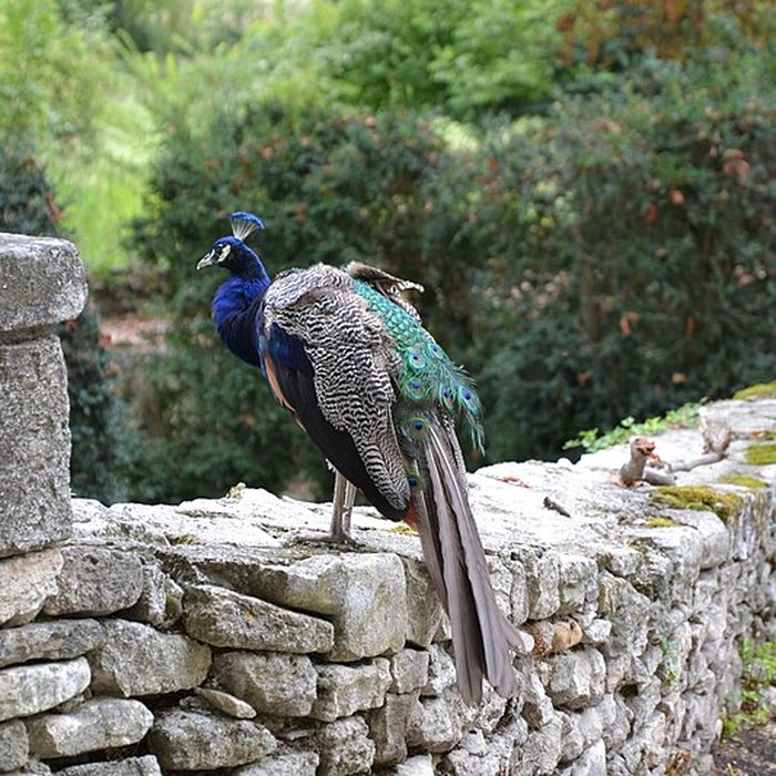 Photo de Château de Sauvan