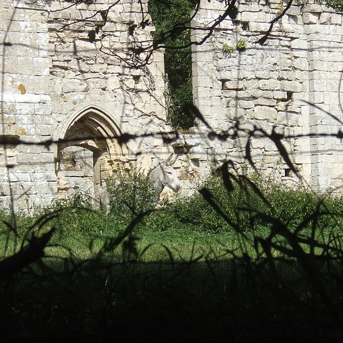 Photo de Église Saint-Nicolas de Villiers-sur-Port