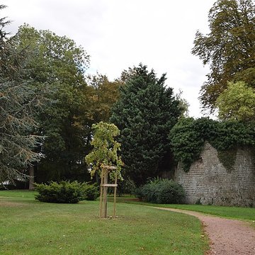 Château de Selles