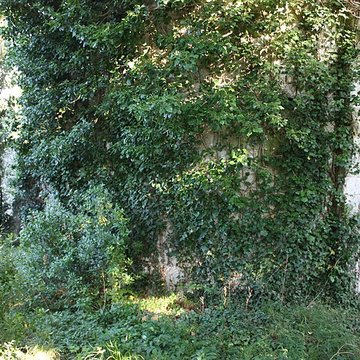 Église Saint-Orens de Dolmayrac