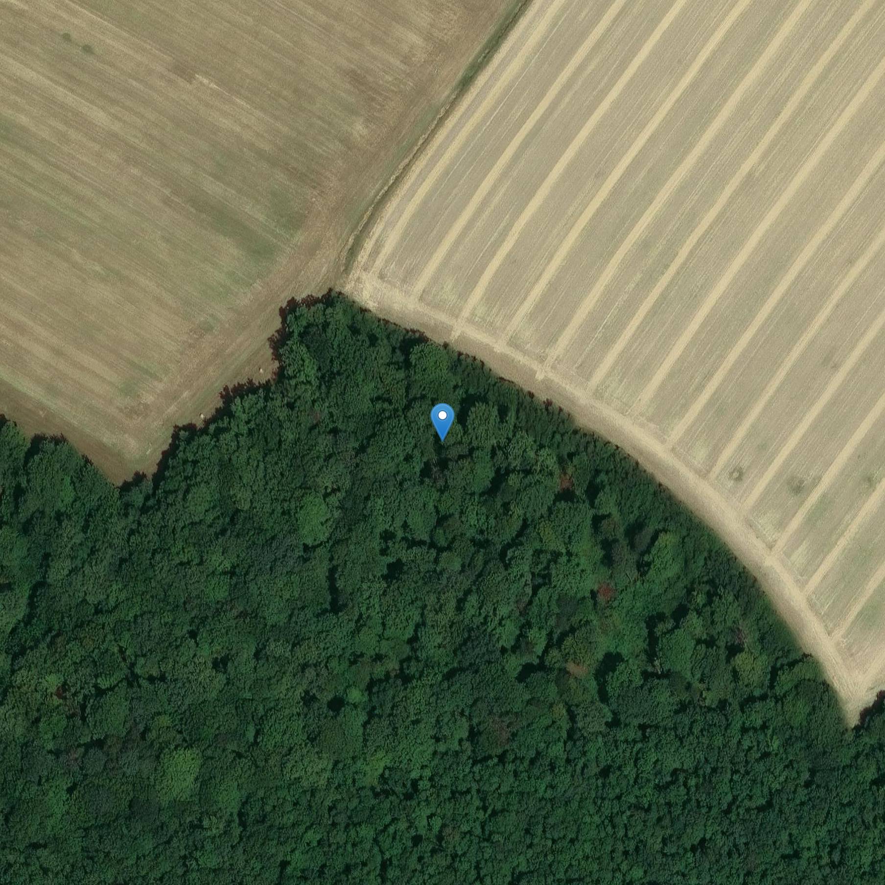 Photo de サン・ル・デ・ボロン教会