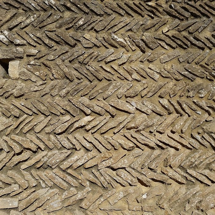 Photo de Église Saint-Ouen de Périers-sur-le-Dan